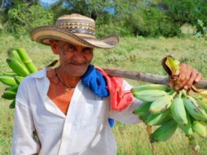 Paquetazo Viajero desde Colombia